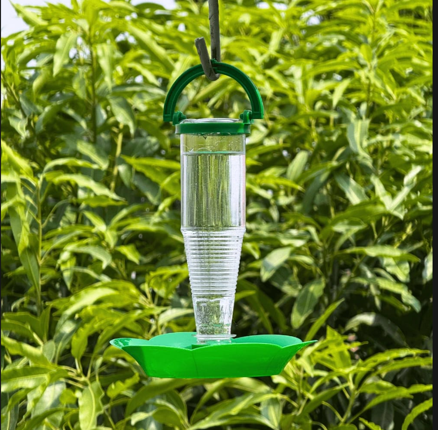 RuhiTiels Hanging Bird Water Drinker for Sparrows, Finches, Budgies & Lovebirds | Outdoor Bird Water Feeder with Transparent Reservoir | Leak-Resistant | Balcony, Garden & Aviary