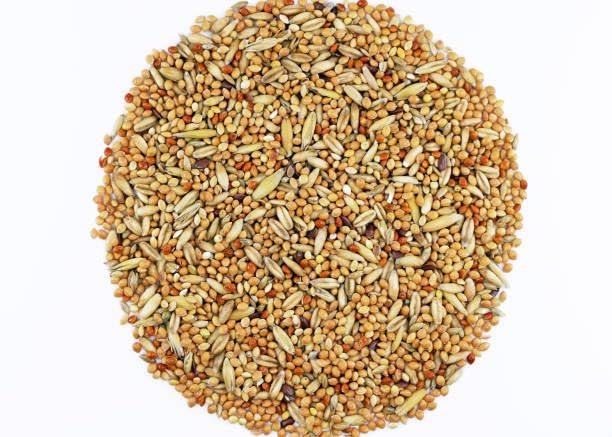 RuhiTiels  Mix Seed Bird Food for Birds | 1 Kg | 100% Natural | Energy-Rich & Easily Digestible | Suitable for All Life Stages | Made in India